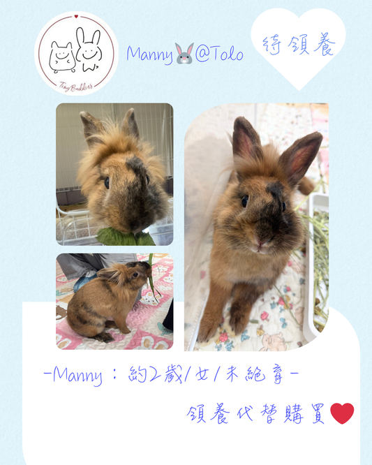 尋家🏠 - Manny🐰