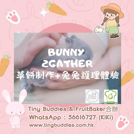 🍪🐰Bunny 2Gather草餅製作x兔兔護理體驗🐰🍪
