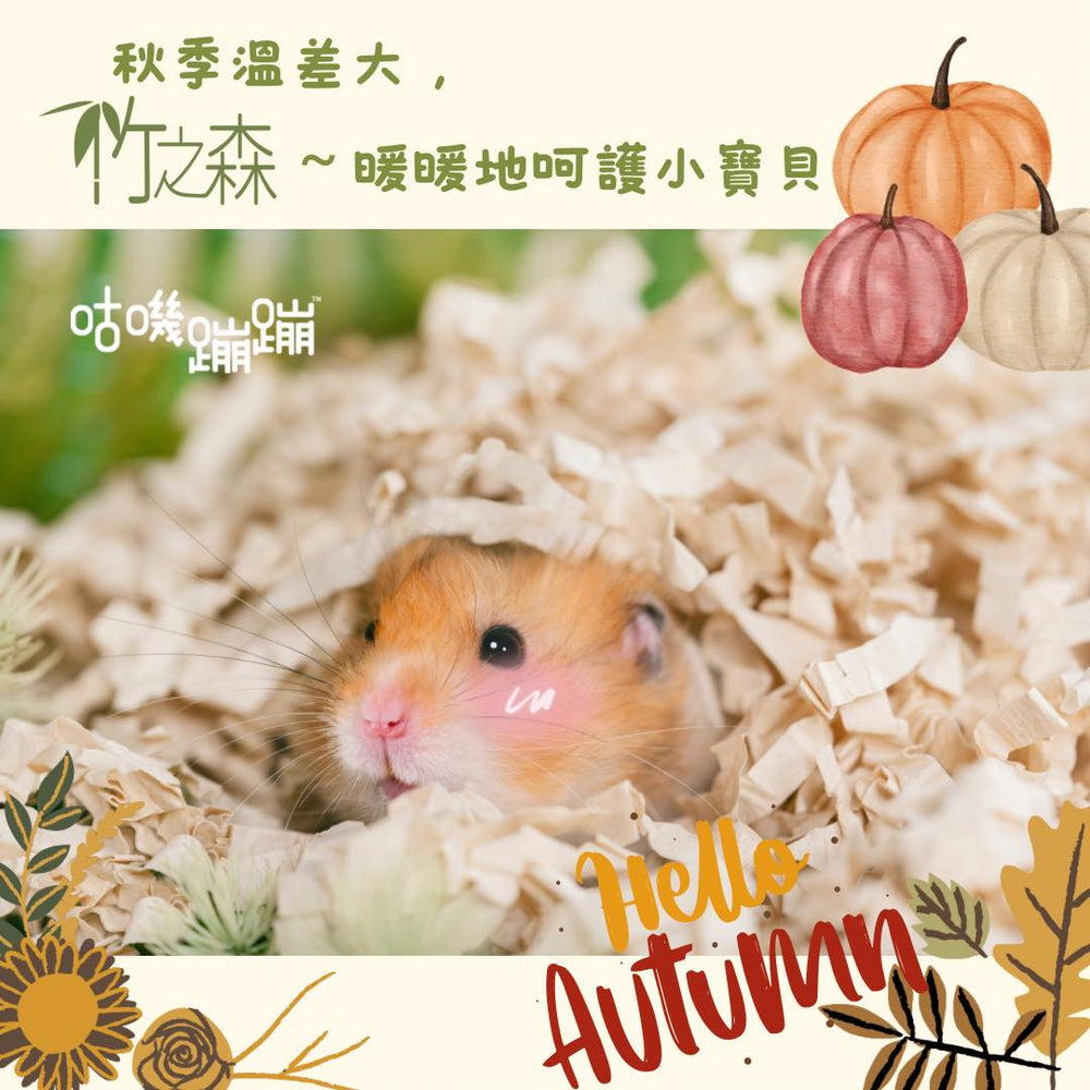 咕嘰蹦蹦 - 竹之森400g