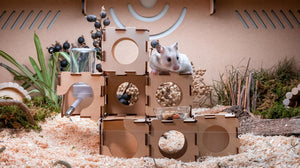 Hamooi雙滾珠水瓶(80ml) Hamooi雙滾珠水瓶(80ml)