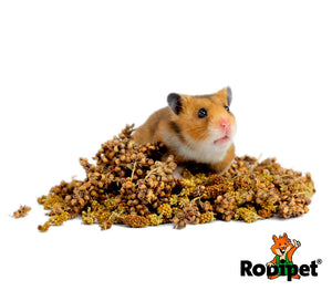 Rodipet®純天然造景小米榖穗三重奏 120G Rodipet®純天然造景小米榖穗三重奏 120G