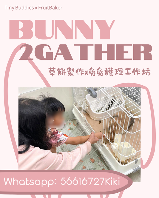 🍪🐰Bunny 2Gather草餅製作x兔兔護理體驗🐰🍪