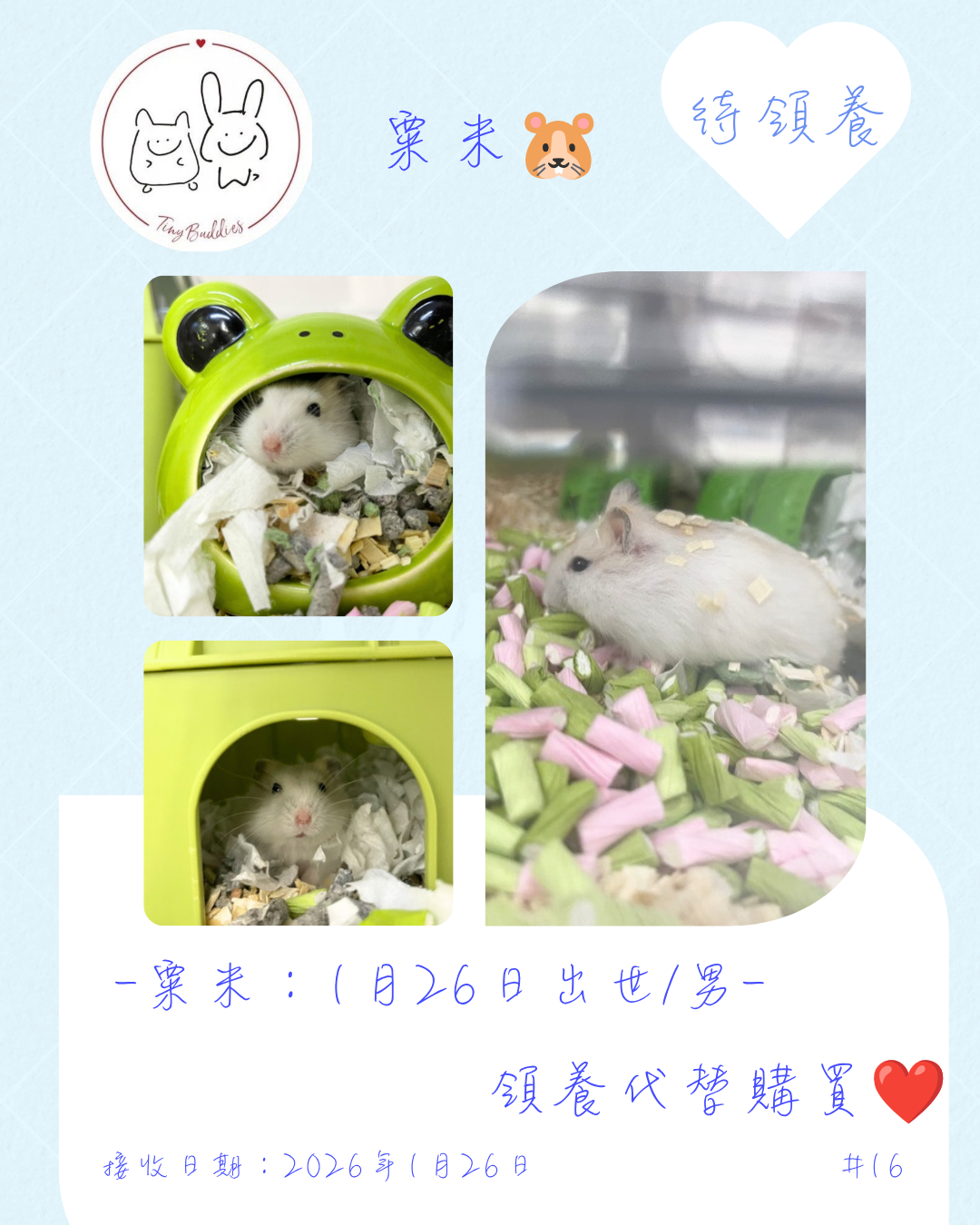 尋家🏠 - 粟米🐹