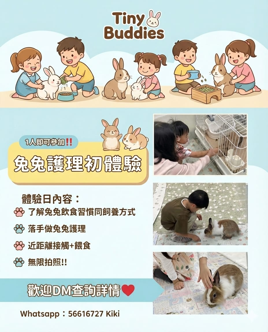 🐰兔兔護理初體驗🐰