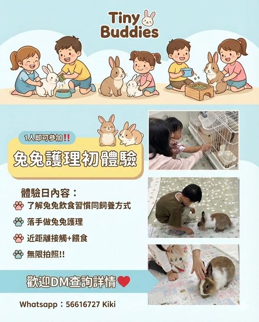 🐰兔兔護理初體驗🐰