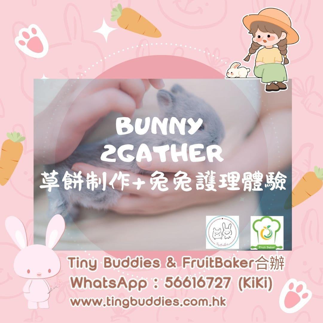 🍪🐰Bunny 2Gather草餅製作x兔兔護理體驗🐰🍪