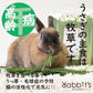 日本Rabbit’s 無農藥 純天然國產綠燕麥草70g