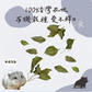 勞叔 草本之源-咸豐草15g