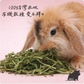 勞叔 草本之源-蒲公英15g