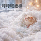 勞叔 呼呼眠紙棉 450g
