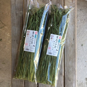 日本Rabbit’s 無農藥純天然國產綠燕麥草原條50g