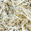 NPF 青木瓜絲 - 30g