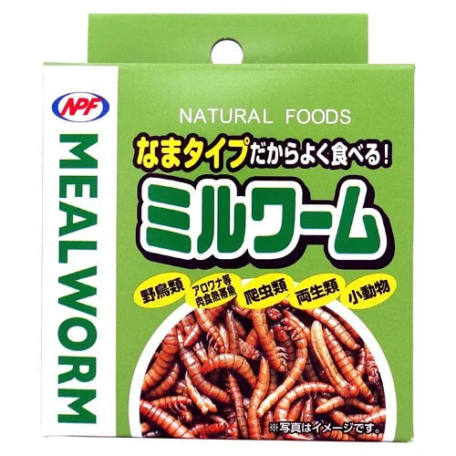 NPF 罐裝麵包蟲 35g