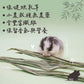 勞叔 草本之源-竹葉15g