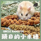 勞叔 頭目的小米穗 - 紅米/黃米 50g