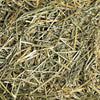 SPS 燕麥草 - 2lbs