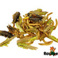 Rodipet®純天然高蛋白質混合昆蟲零食 50G